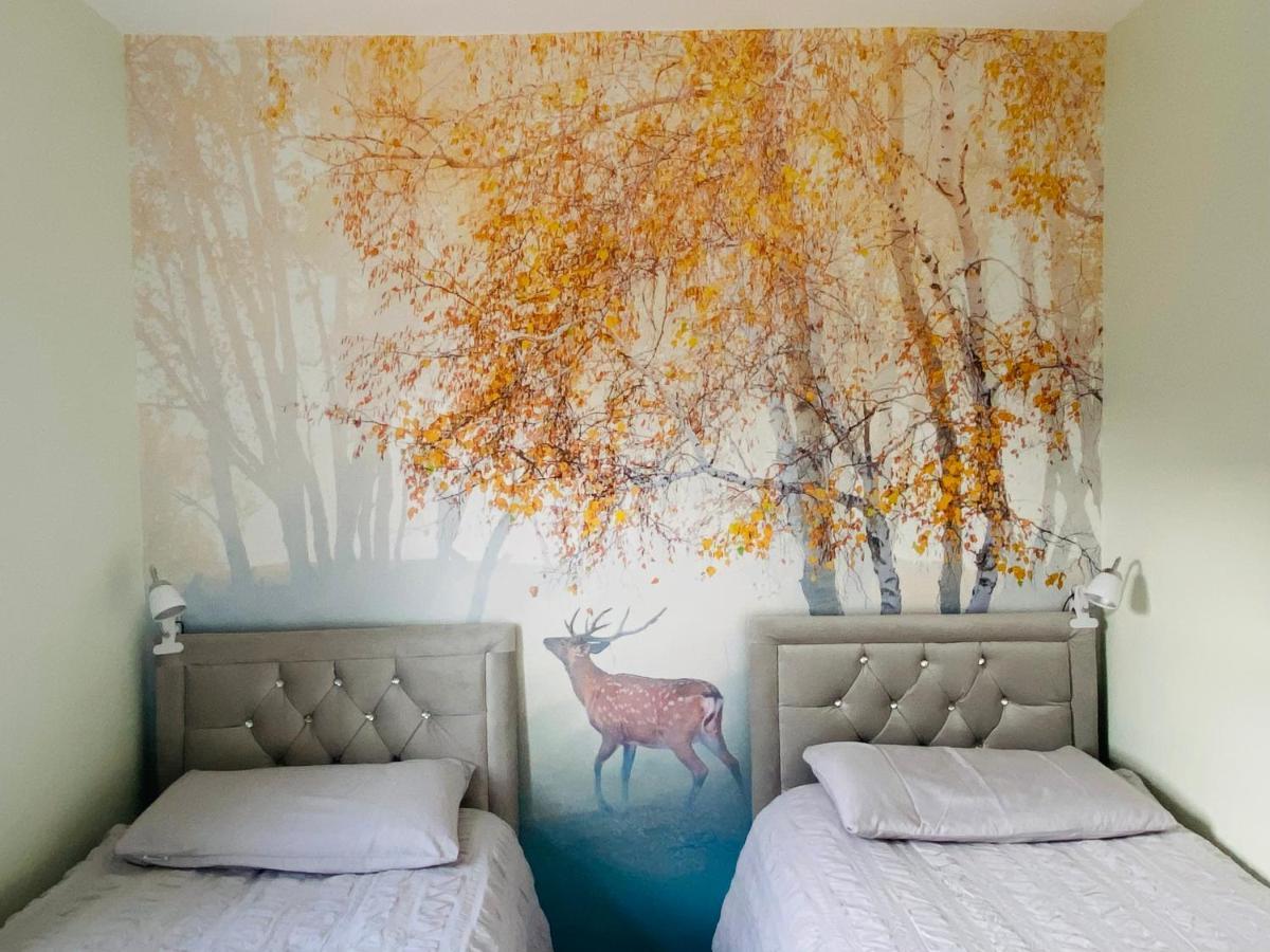 Delightful 2 Bedroom Home in Central Windsor Buitenkant foto